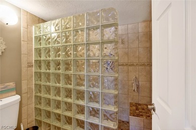 Gulf access condo. Ground floor unit, screened lanai with lake - photo 18