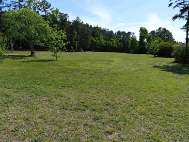 ACREAGE. Check out this newly remodeled light-filled home on - photo 21