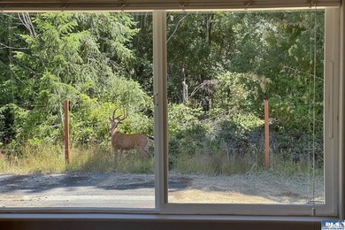 This Westside, zero step entry, 3 bedroom, 2 bath home is - photo 22