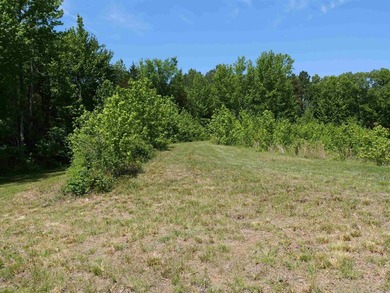 ACREAGE. Check out this newly remodeled light-filled home on - photo 27