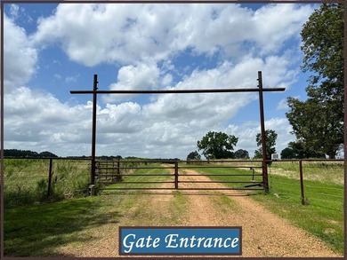 NEW PRICE IMPROVEMENT! Looking for a spacious single-level home - photo 46