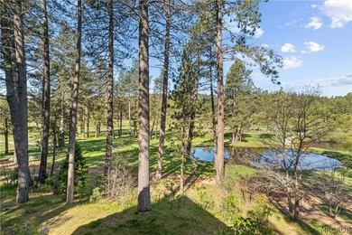 Welcome to this exceptional mountain retreat with one-of-a-kind - photo 50