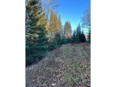 Chain Lake Acreage For Sale in Eagle River Wisconsin