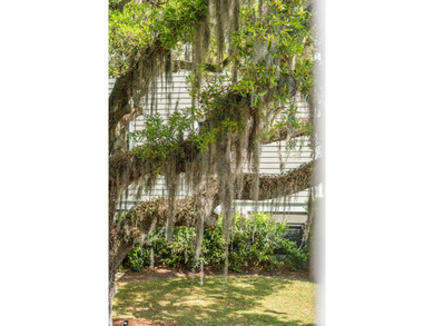 Experience the essence of Lowcountry living in Daniel Island - photo 4
