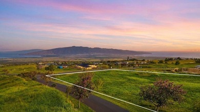 Set on 2.78 remarkably usable acres at approximately 2,300 feet - photo 4