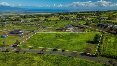 Set on 2.78 remarkably usable acres at approximately 2,300 feet - photo 8