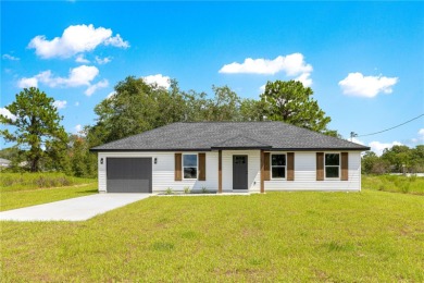 Lake Home For Sale in Belleview, Florida