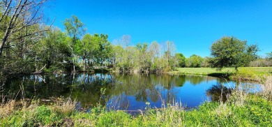 (private lake, pond, creek) Acreage For Sale in Pineland Texas