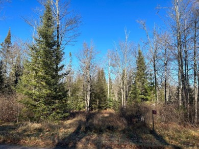 Wisconsin River - Vilas County Lot For Sale in Eagle River Wisconsin