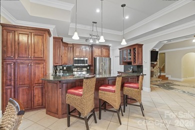 Welcome to 107 Nautilus Court in Troutman-a remarkable - photo 28
