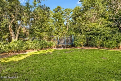 Nestled on a quiet street in the desirable mid-north area of St - photo 29