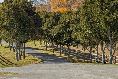Welcome to your private East Tennessee retreat-a 3,000 sq. ft - photo 4