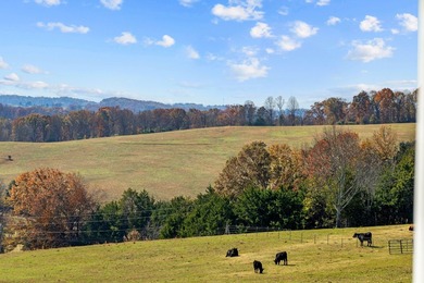 Welcome to your private East Tennessee retreat-a 3,000 sq. ft - photo 10