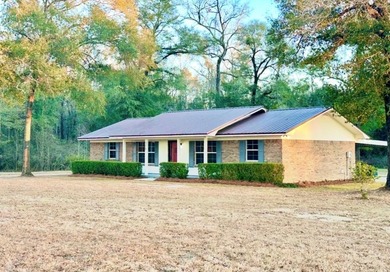 Lake Home For Sale in Slocomb, Alabama