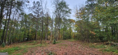 Lake Acreage For Sale in Monticello, Georgia