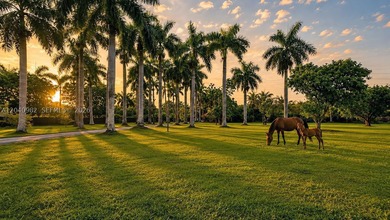 Spectacular property offering two Folios 30-5 zoned residential - photo 20