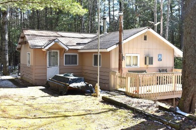 (private lake, pond, creek) Home For Sale in Chase Michigan