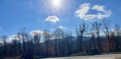 French Broad River Acreage For Sale in Del Rio Tennessee