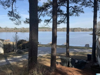 Lake Home For Sale in Shelby, Alabama