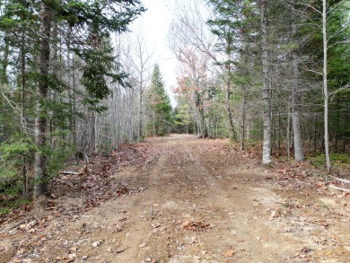 Lake Acreage For Sale in Greenbush, Maine