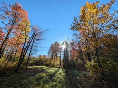 Lake Acreage For Sale in Prentice, Wisconsin