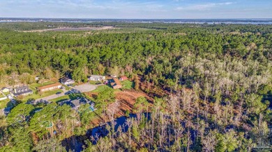 PEACEFUL & Backs to Nature. .Build your Dream Home in Havburg - photo 11