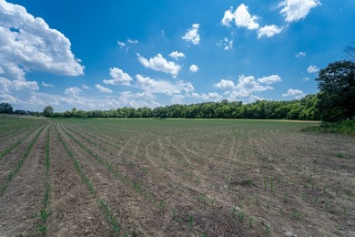 Farmers, Investors, and Homesteaders - Take Notice! Welcome to - photo 7