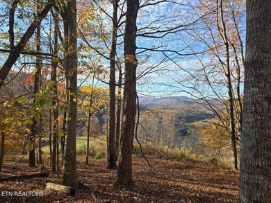 Clinch River - Hancock County Lot For Sale in Sneedville Tennessee