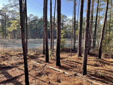 Lake Sam Rayburn  Lot For Sale in Brookeland Texas