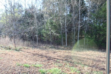 Lake Lot For Sale in Bull Shoals, Arkansas
