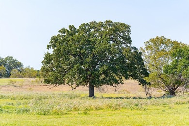 Just Reduced - 140+/- Acres on the Edge of Decatur. A rare - photo 15