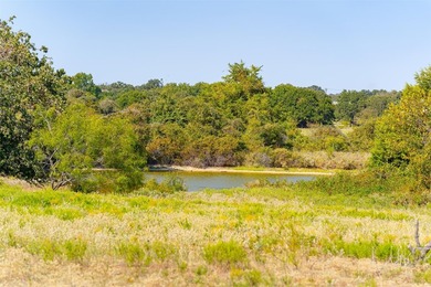 Just Reduced - 140+/- Acres on the Edge of Decatur. A rare - photo 16