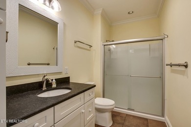 Luxury lakefront living in the heart of West Knoxville on Fort - photo 27