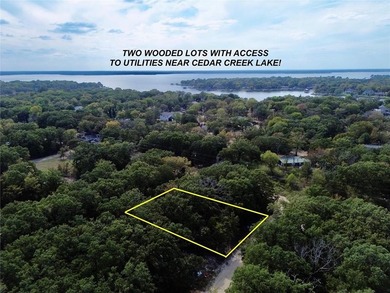 Cedar Creek Lake Lot For Sale in Mabank Texas