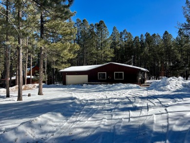 Lake Home Off Market in Angel Fire, New Mexico