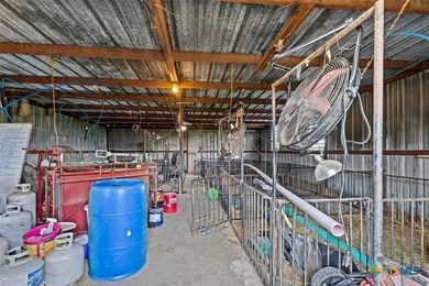 Discover a premier 45-acre cross-fenced ranch in Florence, Texas - photo 40