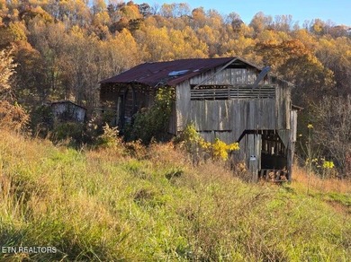 Clinch River - Hancock County Lot Sale Pending in Sneedville Tennessee