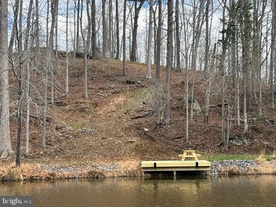 Waterfront lot with dock in Blue Ridge Shores: Nestled within - photo 2