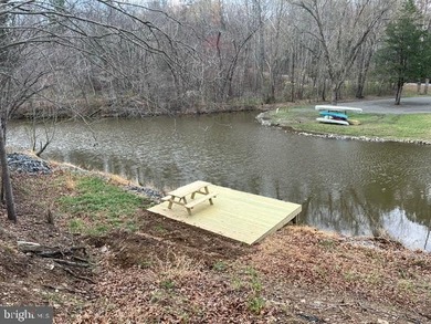 Waterfront lot with dock in Blue Ridge Shores: Nestled within - photo 4