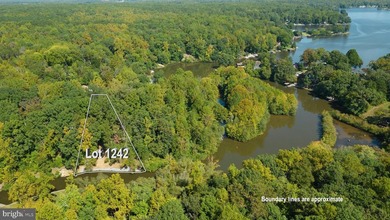 Waterfront lot with dock in Blue Ridge Shores: Nestled within - photo 6