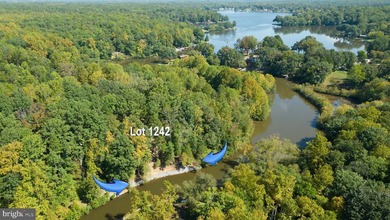 Waterfront lot with dock in Blue Ridge Shores: Nestled within - photo 7