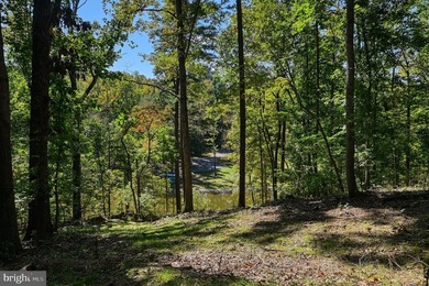 Waterfront lot with dock in Blue Ridge Shores: Nestled within - photo 8