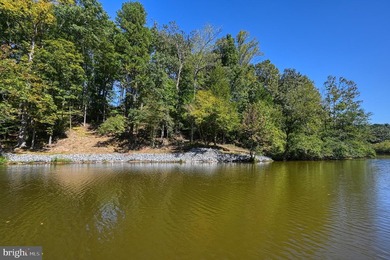 Waterfront lot with dock in Blue Ridge Shores: Nestled within - photo 9