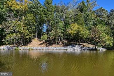Waterfront lot with dock in Blue Ridge Shores: Nestled within - photo 10