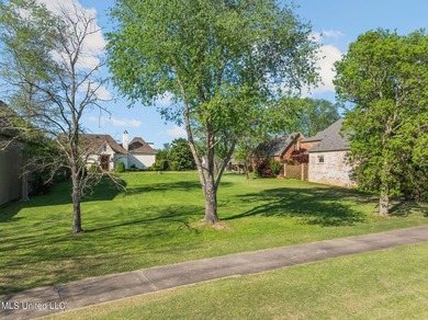 This golf course frontage lot in Canebrake is surrounded by - photo 4