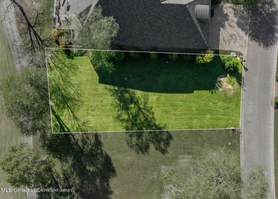 This golf course frontage lot in Canebrake is surrounded by - photo 5