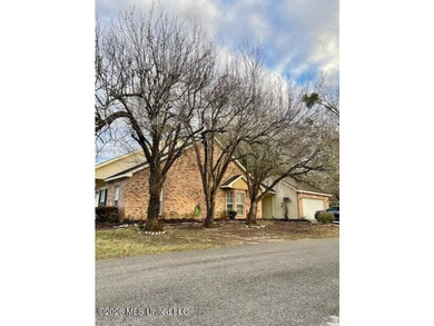 Charming Home in Diamondhead Community with - photo 35