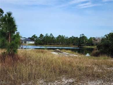 Lake Lot For Sale in Lehigh Acres, Florida