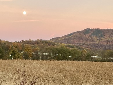 Lake Acreage For Sale in Newport, Tennessee