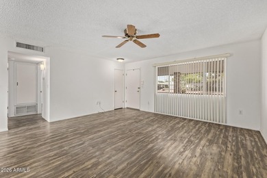Welcome to this adorable 2-bedroom home in the popular Sun City! - photo 8